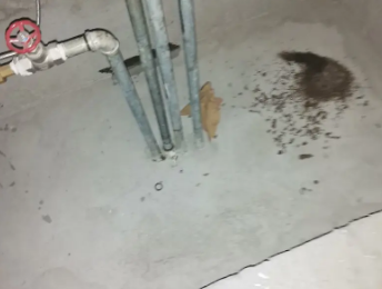 唐山市卫生间测漏水价格明细